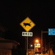 Image for article titled Watch Out for Cats!